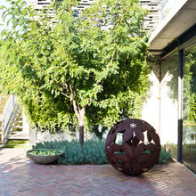 Louis Backyard