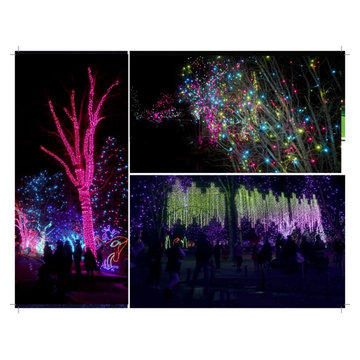 Holiday Lighting