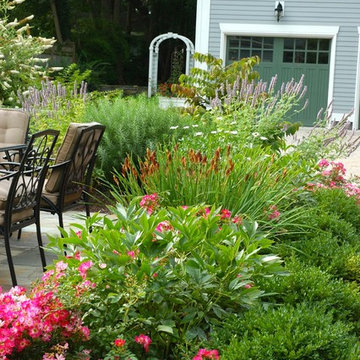 Downtown Garden