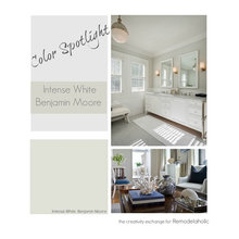 Paint Intense White