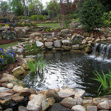 Terraced back yard