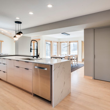 Minimalist Modern Kitchen