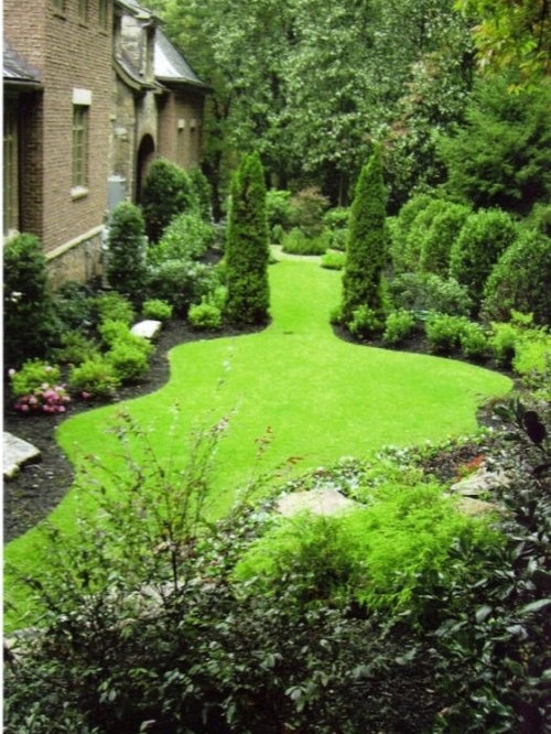 Emerald Green Arborvitae Houzz