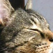 猪野祐司s billede