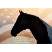 Liz Crowson's photo
