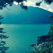 Debbie Martin's photo