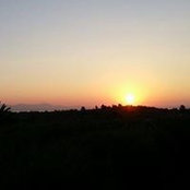 Mircea Chifa's photo
