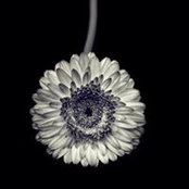 Richard Tran's photo