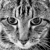 Maria Unger's photo
