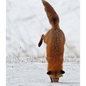 Riri Khanna's photo