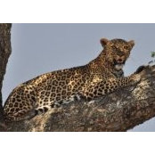 Latha Asokan's photo