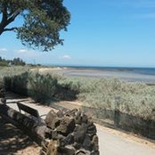 Joan Mc Linden's photo
