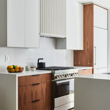 Rosedale Modern Whole Home Renovation