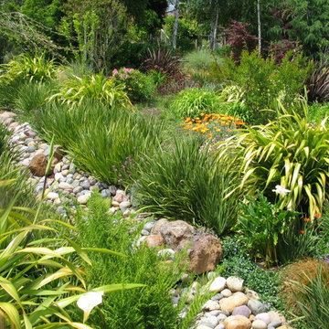 River stone culvert in wild garden scene
