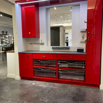Boston Area Custom Garage Storage Solution in High Gloss Red