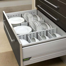 Organization