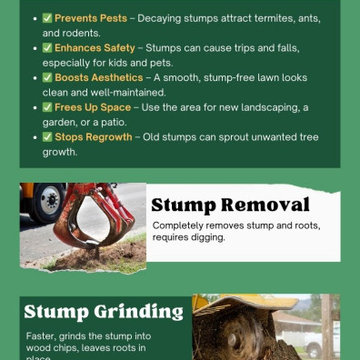 Why Should You Remove That Stump from Your Yard?
