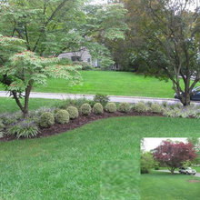 Landscape Ideas