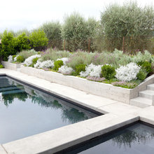 Patio Ideas