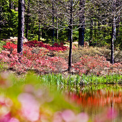 Fine Art Decor_Landscape - Artwork