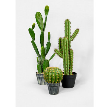 Artificial Tall Candelabra Cactus, 27"x9"