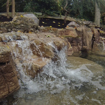 Wisconsin Weathered Moss Rock and Driftwood Ecosystem Pond