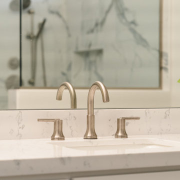 2024 - Classic Refresh for Master Bathroom & Hall Bathroom