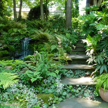 Landscape Ideas