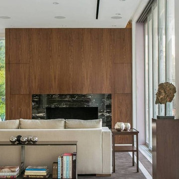 Living Room and Marble Fireplace