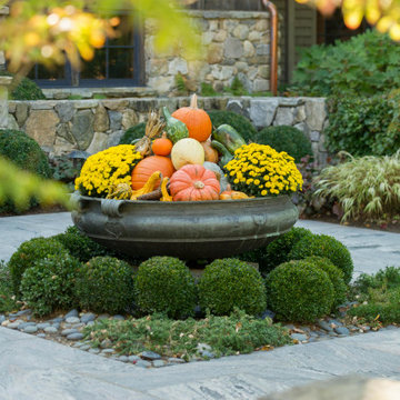 Fall