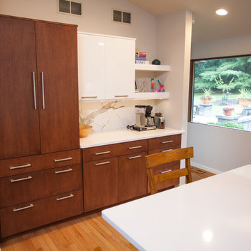 Contemporary Renovation