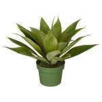 House of Silk Flowers, Inc. - Artificial Small Agave Succulent - This artificial agave succulent arrangement is hand-crafted by House of Silk Flowers. Show your sense of style by adding this to an empty corner in any room of your home or to add a little life to your office. This contains a professionally-arranged artificial agave succulent securely "potted" in a non-decorative nursery pot (4 1/2" tall x 6" diameter). The plant has been arranged to allow 360-degree viewing. The overall dimensions are measured leaf tip to leaf tip, from the bottom of the pot to the tallest leaf tip: 13" tall x 16" diameter. Measurements are approximate, and will be determined by your final shaping of the plant upon unpacking it. No arranging is necessary, only minor shaping, with the way in which we package and ship our products. This product is only recommended for indoor use. Our unique patent pending design allows you to purchase one planter with multiple trees to change your design as your mood or the seasons changes.