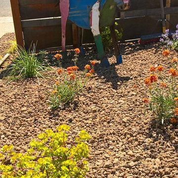 Edible Garden with Whimsy - Lawn removal project