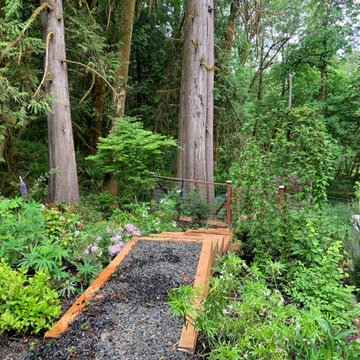 Layered Garden in the Woods