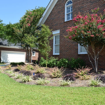 Andrews Landscape