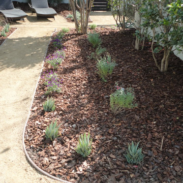 Entertainer's Back Yard - Renewed and Refreshed
