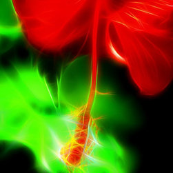 Fine Art Photography - Digital paintings - Products