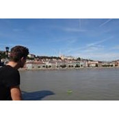 Robert Maier's photo