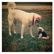 Nicole DeArmond Vadas's photo