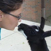 Foto de Aundrea Dailey
