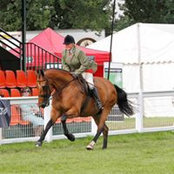 Rose Morgans billede