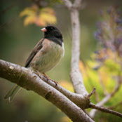 Jonathan Atwell's photo