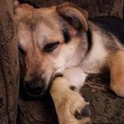 Maria Bergman Nickless's photo