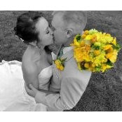 Heidi Wilson's photo