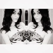 Nicolette Sturgill's photo