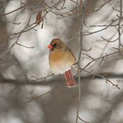 Linda Schutz Hamilton's photo