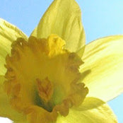 Eva Provenzale's photo