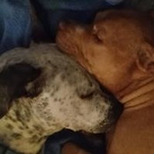 Bernice Velez-Martinez's photo