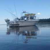 Steven Humblet's photo