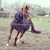 Ariane Bossut's photo